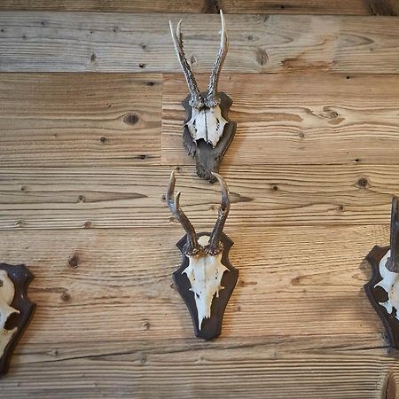 Glemm Lodge Apartments - Joker Card Im Sommer Inklusive Saalbach-Hinterglemm Kültér fotó
