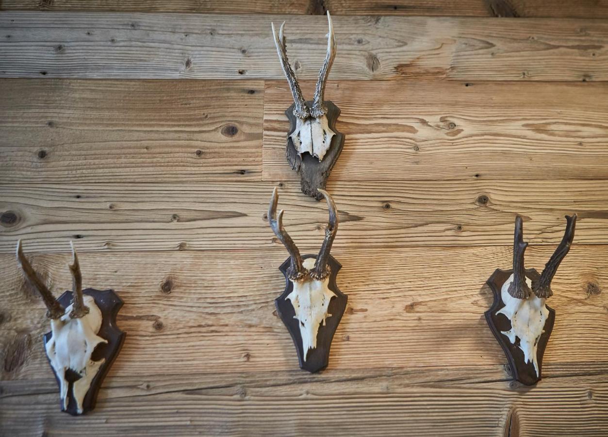 Glemm Lodge Apartments - Joker Card Im Sommer Inklusive Saalbach-Hinterglemm Kültér fotó